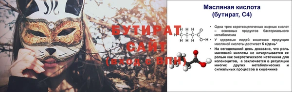 прущие грибы Надым