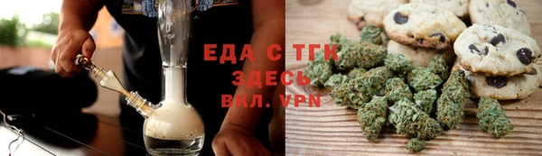 прущие грибы Надым