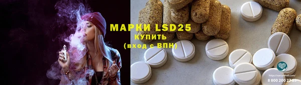 гашик Наволоки