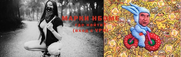 прущие грибы Надым