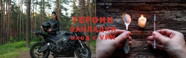 прущие грибы Надым