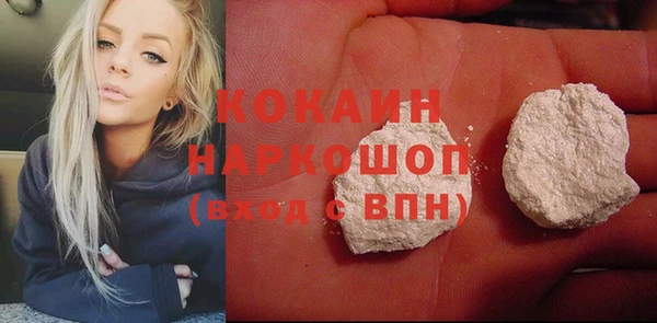 прущие грибы Надым