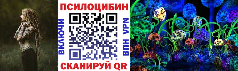 Псилоцибиновые грибы Psilocybine cubensis  Ачинск 