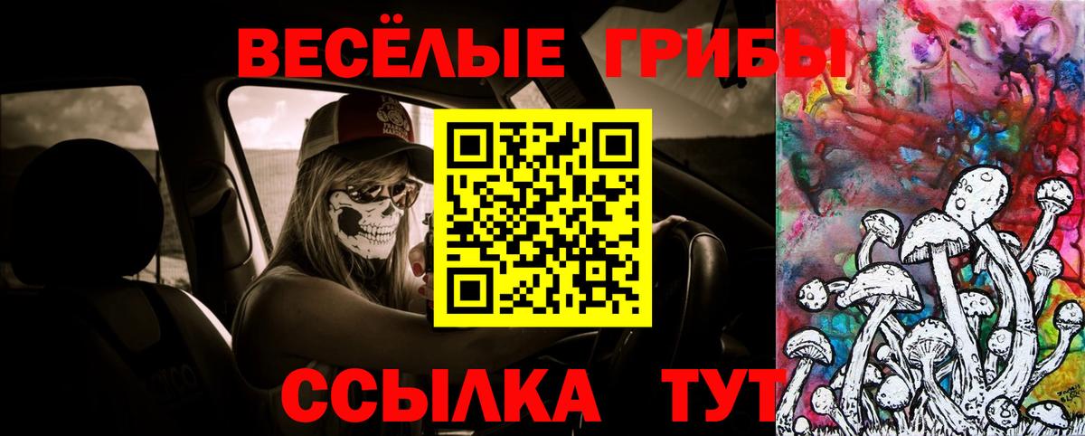 Ачинск  Псилоцибиновые грибы прущие грибы  Псилоцибиновые грибы мицелий  Вход с VPN 